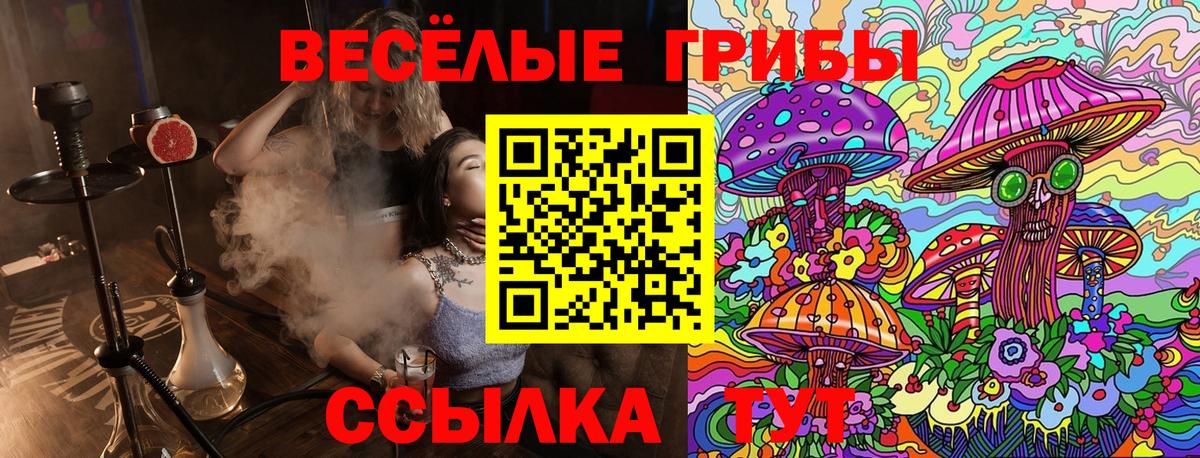 Галлюциногенные грибы Psilocybe  Вход с VPN  Сарапул  Псилоцибиновые грибы Psilocybe 